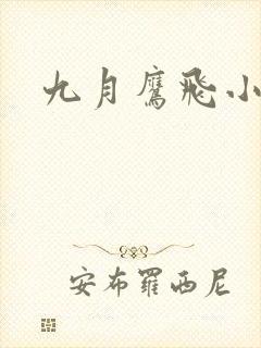 九月鹰飞小说