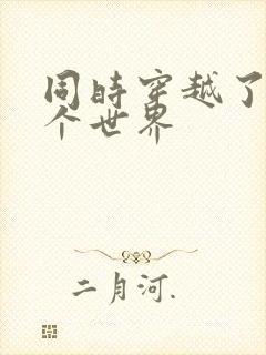 同时穿越了99个世界