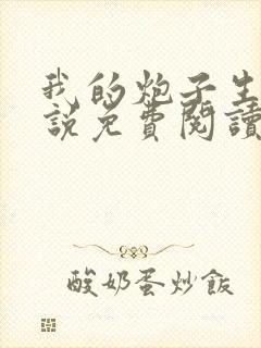 我的炮子生涯小说免费阅读无弹窗封面