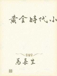 黄金时代小说