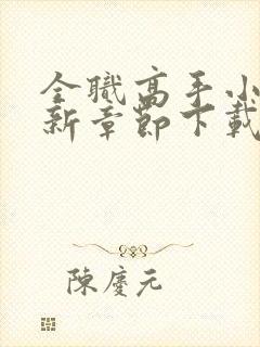 全职高手小说最新章节下载