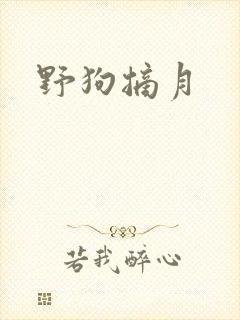 野狗摘月