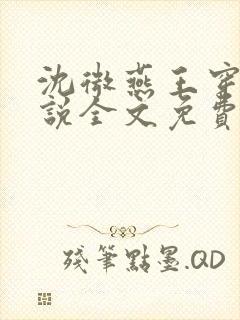 沈微燕王穿越小说全文免费阅读