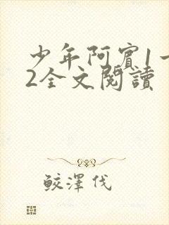 少年阿宾1一72全文阅读