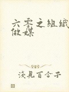 六零之组织给我做媒封面