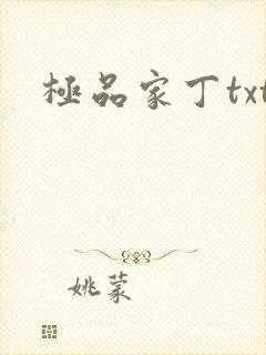 极品家丁txt