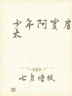 少年阿宾房东太太