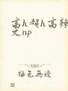 高h超h高辣h文np
