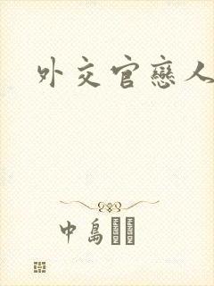 外交官恋人小说封面