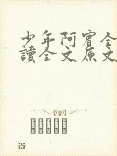 少年阿宾全文阅读全文原文