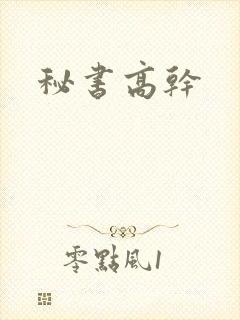 秘书高干