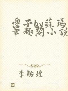 傻子by苏玛丽笔趣阁小说封面