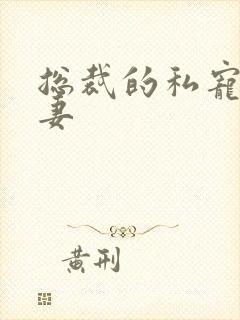 总裁的私宠小娇妻