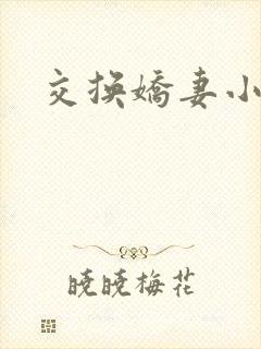 交换娇妻小说