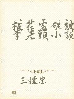 校花处破被灌满李老头小说