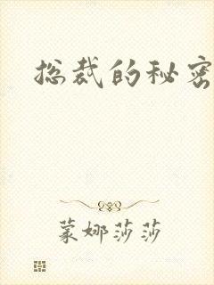 总裁的秘密情人