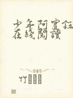 少年阿宾钰慧篇在线阅读封面