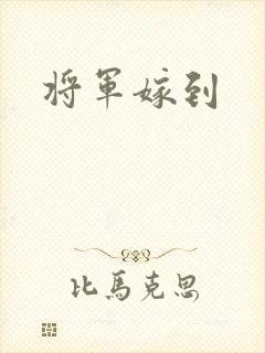 将军嫁到