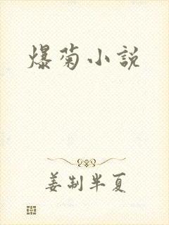 爆菊小说