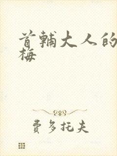 首辅大人的小青梅