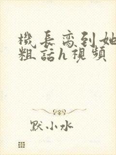 机长脔到她哭h粗话h视频