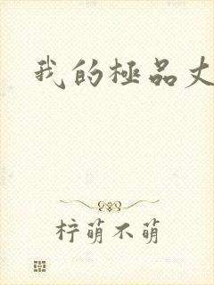 我的极品丈母娘