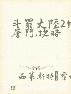 斗罗大陆2绝世唐门,攻略