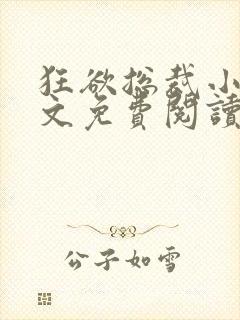 狂欲总裁小说全文免费阅读