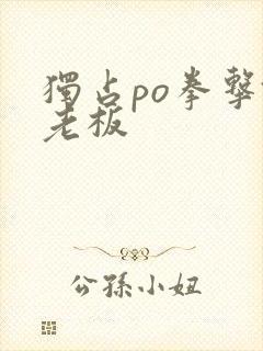 独占po拳击馆老板