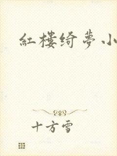 红楼绮梦小说封面