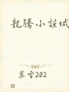 龙腾小说城