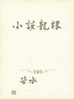 小说龙根