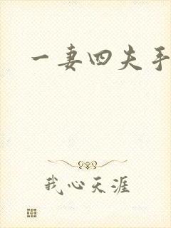 一妻四夫手记封面