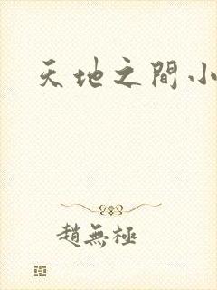 天地之间小说
