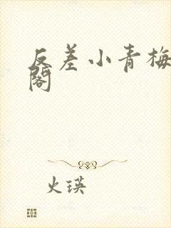 反差小青梅笔趣阁