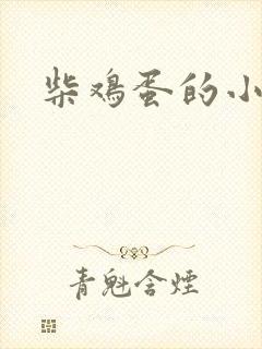 柴鸡蛋的小说