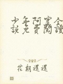 少年阿宾全文小说免费阅读笔趣阁