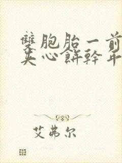 双胞胎一前一后夹心饼干年下