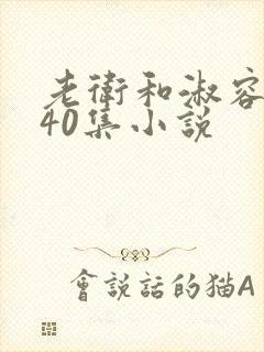 老卫和淑容1-40集小说