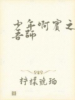 少年啊宾之吾爱吾师封面