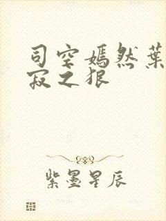 司空嫣然叶凡孤寂之狼