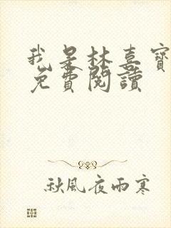 我是林喜宝小说免费阅读封面