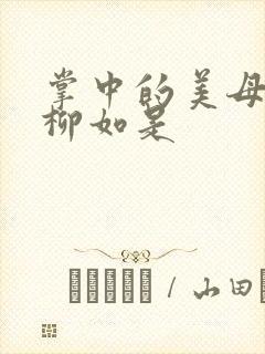 掌中的美母版主柳如是封面