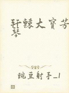 轩辕大宝芳菲雅琴