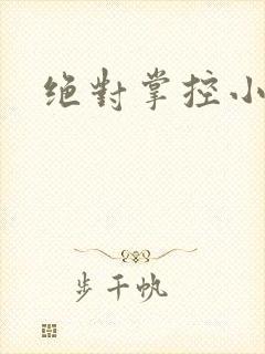 绝对掌控小说