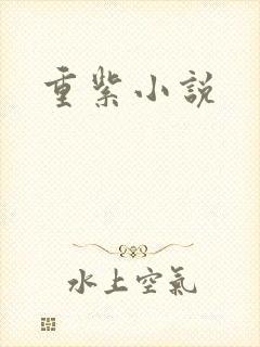 重紫小说