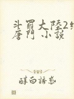 斗罗大陆2绝世唐门 小说封面