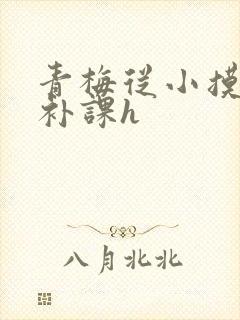 青梅从小摸到大补课h