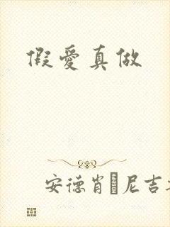 假爱真做