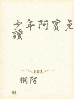 少年阿宾免费阅读